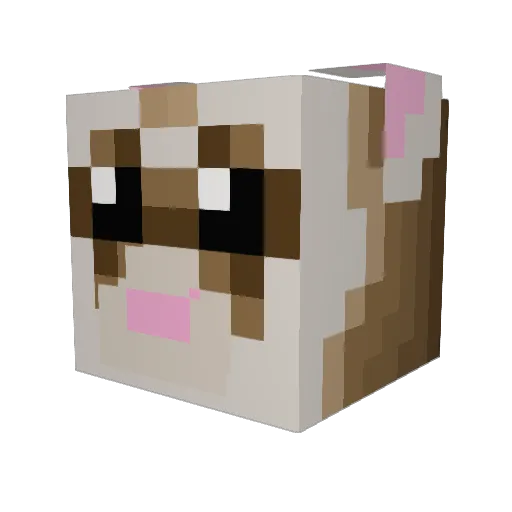 FerretyWizard Minecraft avatar head, 3D render