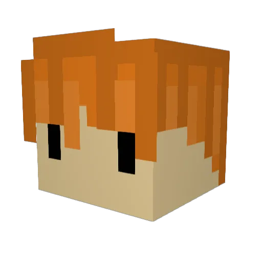 FerreyBerrey Minecraft avatar head, 3D render