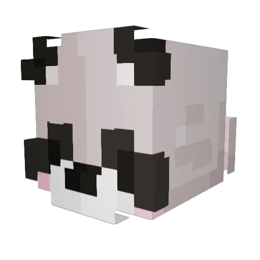 Ferrinator01 Minecraft avatar head, 3D render