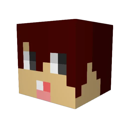 FerrisRaglan Minecraft avatar head, 3D render