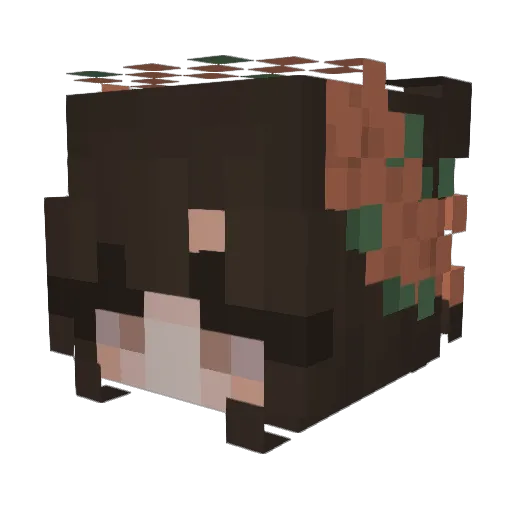 Ferrorus Minecraft avatar head, 3D render