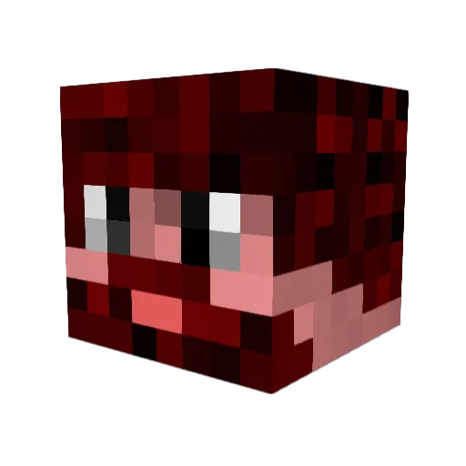 Ferry200 Minecraft avatar head, 3D render