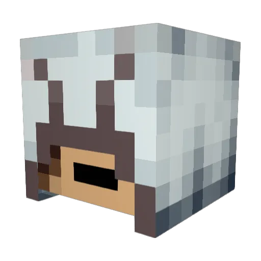 Ferry_Kuhlmann Minecraft avatar head, 3D render