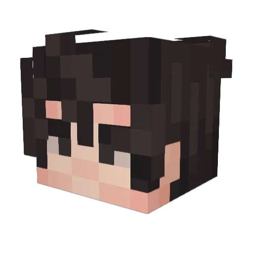 Fersonii Minecraft avatar head, 3D render
