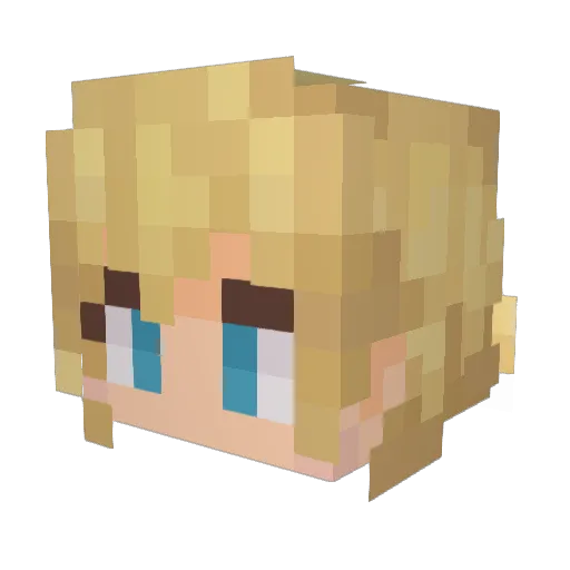 FertileSquid97 Minecraft avatar head, 3D render