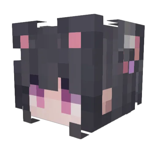 Ferum20 Minecraft avatar head, 3D render