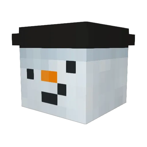 FervidAphid622 Minecraft avatar head, 3D render
