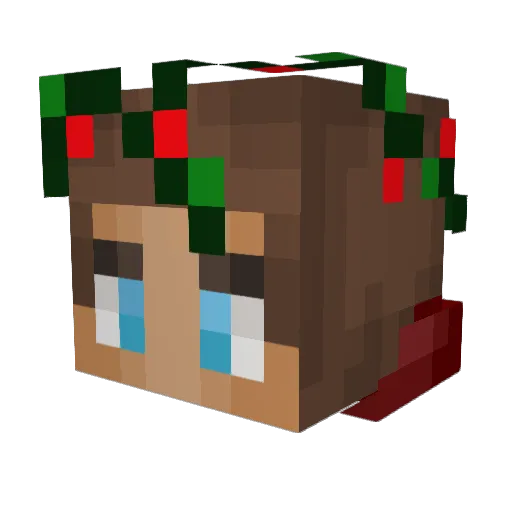 Fervns Minecraft avatar head, 3D render
