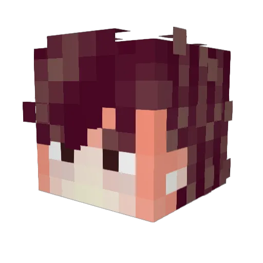 Ferya1L Minecraft avatar head, 3D render