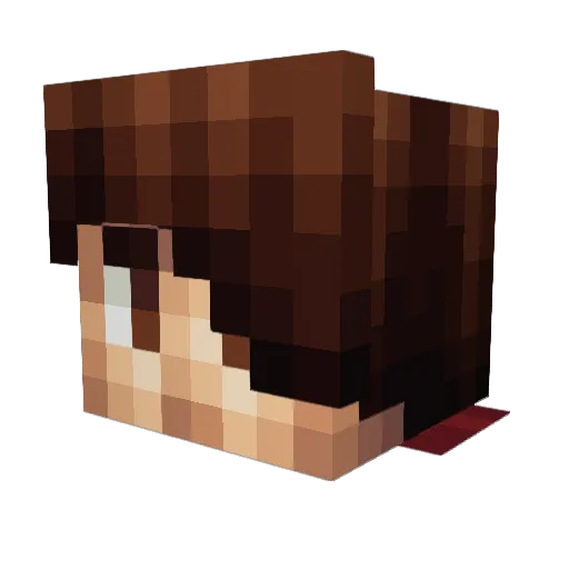 Fes_232 Minecraft avatar head, 3D render