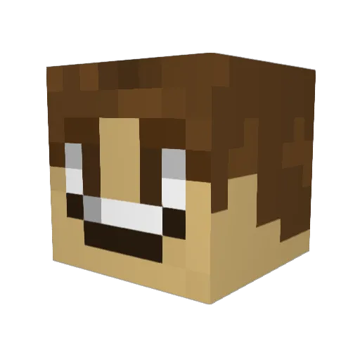 Fesafer1 Minecraft avatar head, 3D render