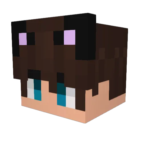 Fesoy_ Minecraft avatar head, 3D render
