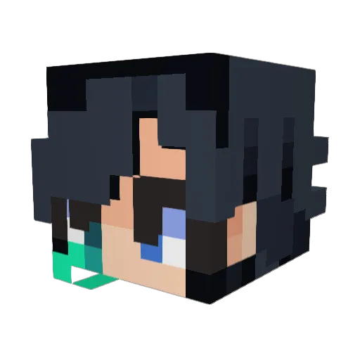 Fessix37 Minecraft avatar head, 3D render