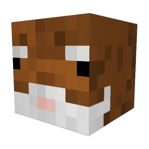 Festechi Minecraft avatar head, 3D render