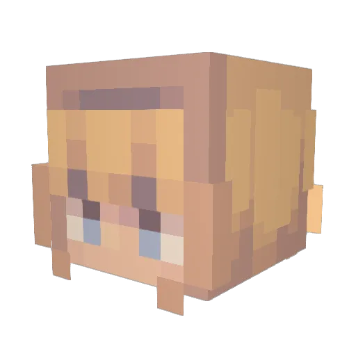 Festivus_ Minecraft avatar head, 3D render