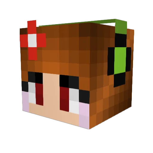 Fetchingtiger53 Minecraft avatar head, 3D render