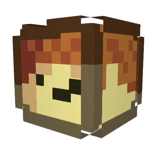 Fets_ Minecraft avatar head, 3D render
