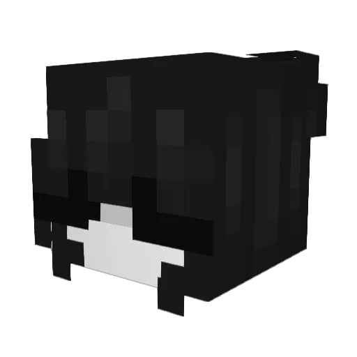 Fettbex Minecraft avatar head, 3D render