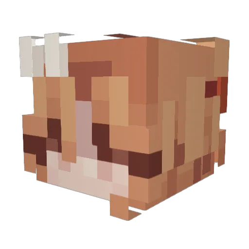 Fette_Tarantel Minecraft avatar head, 3D render