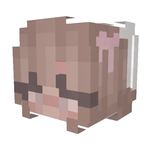 FettiIsGay Minecraft avatar head, 3D render