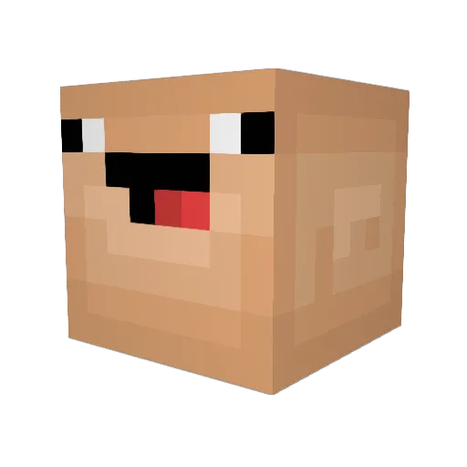 FettoPanda Minecraft avatar head, 3D render