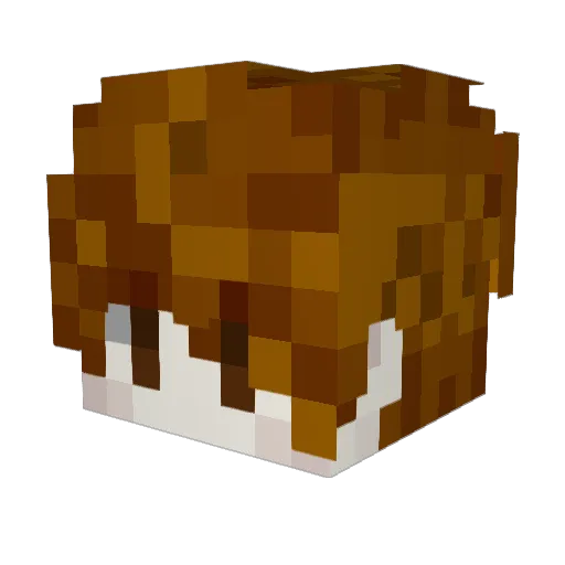 FettyFazz Minecraft avatar head, 3D render