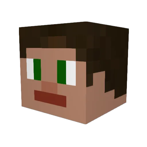 FetusAbortikus Minecraft avatar head, 3D render