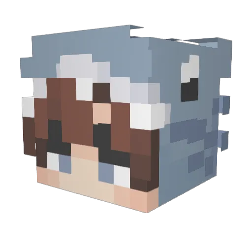 FetusFloppus Minecraft avatar head, 3D render