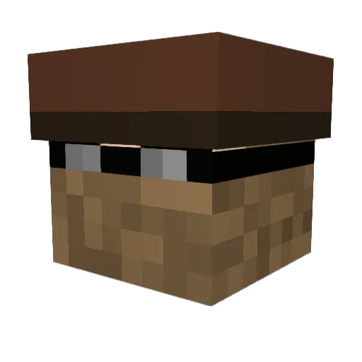 FetusHammer Minecraft avatar head, 3D render