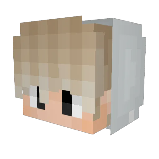 Feuchtgeschwitzt Minecraft avatar head, 3D render