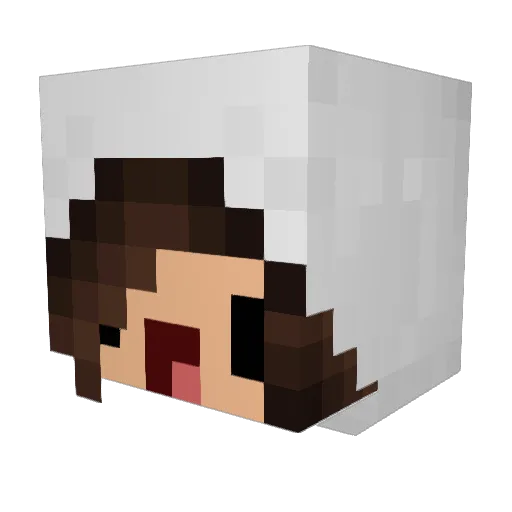 Feuer_Pfote Minecraft avatar head, 3D render