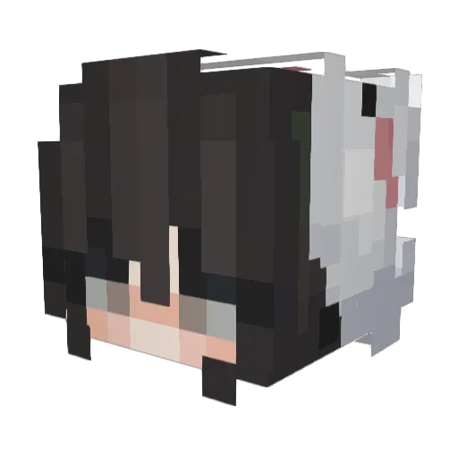 Feuerbyo Minecraft avatar head, 3D render