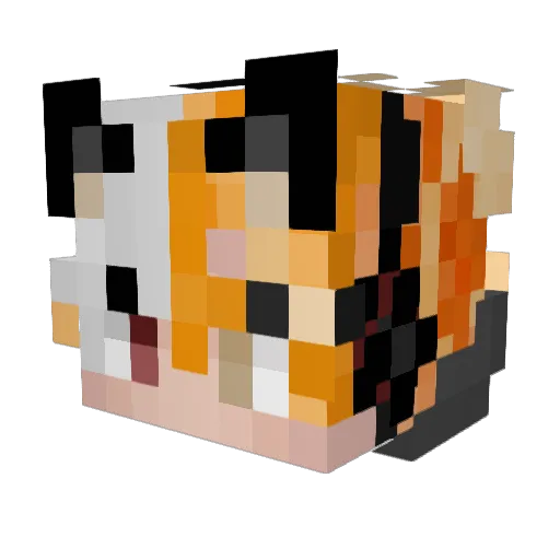 Feuerfux_ Minecraft avatar head, 3D render