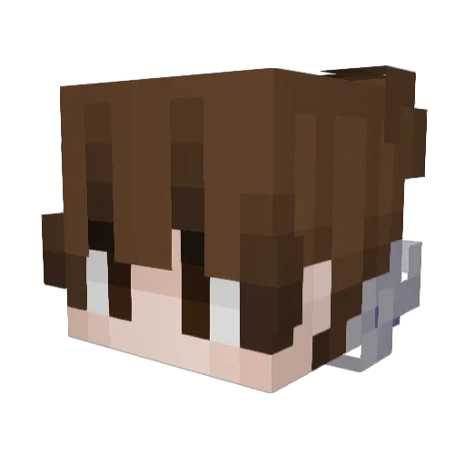 Feurinn Minecraft avatar head, 3D render
