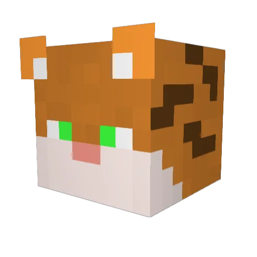 Feurio90 Minecraft avatar head, 3D render
