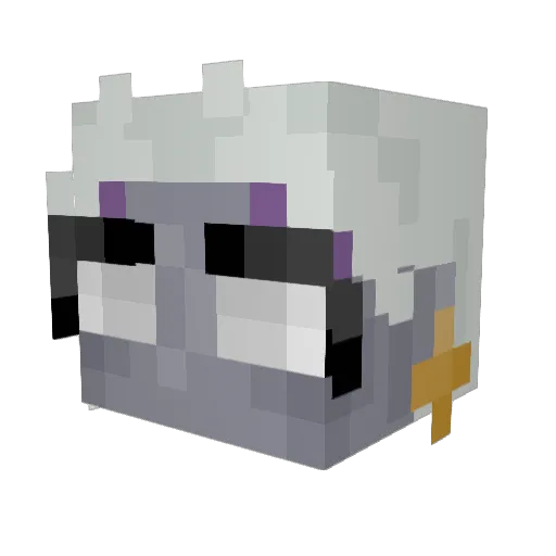 Feverpelt Minecraft avatar head, 3D render