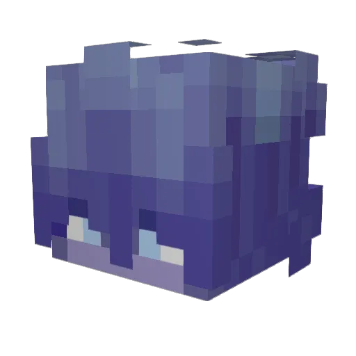 Fevra1ka Minecraft avatar head, 3D render