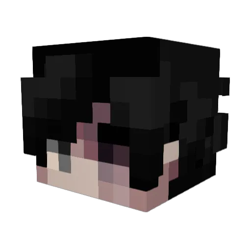 FewBigPie Minecraft avatar head, 3D render