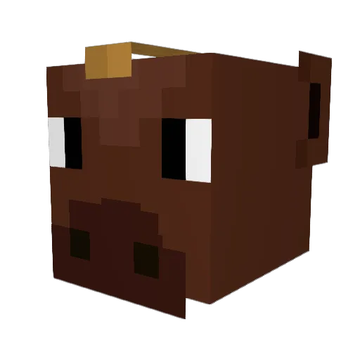 FewOrphan Minecraft avatar head, 3D render