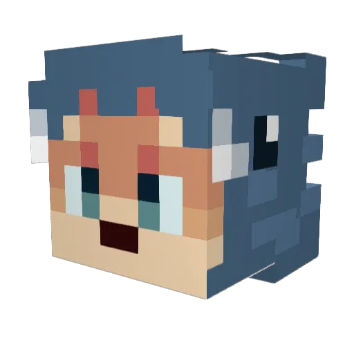 Fewhelipad5 Minecraft avatar head, 3D render