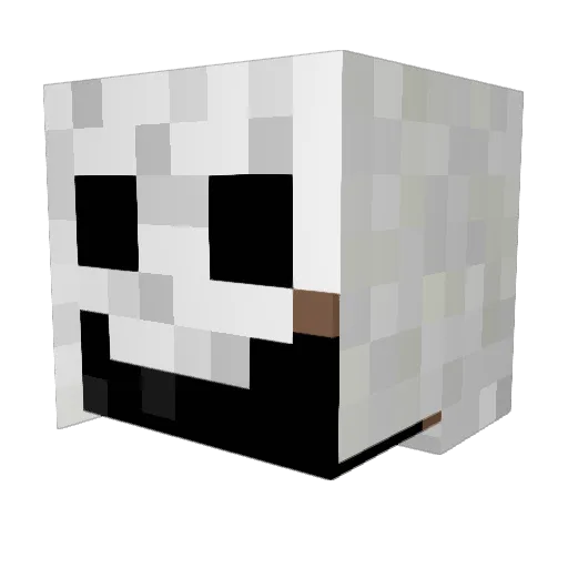 Fewl29 Minecraft avatar head, 3D render
