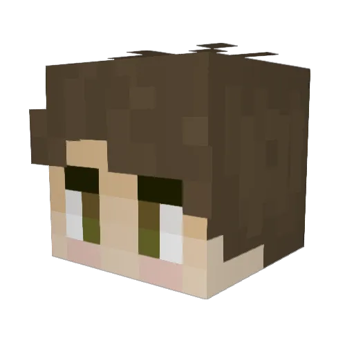 Fewserve Minecraft avatar head, 3D render