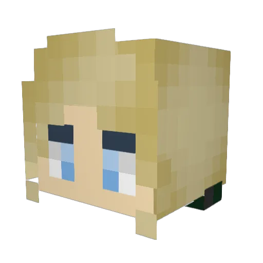 Fewtoo Minecraft avatar head, 3D render