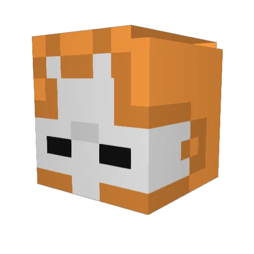 Fexlar Minecraft avatar head, 3D render