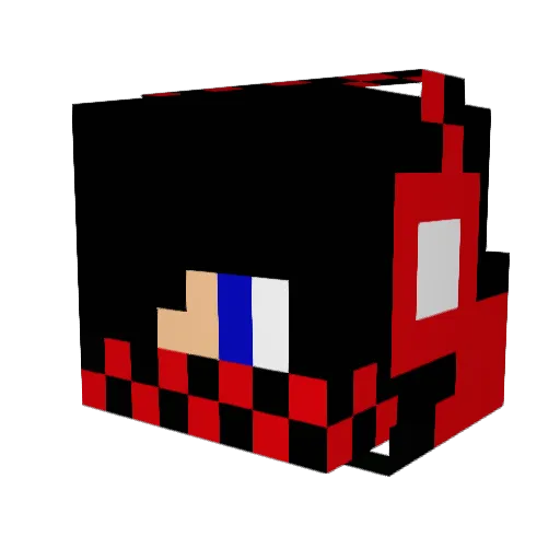 Fexn1 Minecraft avatar head, 3D render