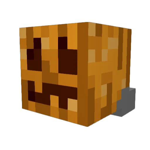 Fexofenadine214 Minecraft avatar head, 3D render