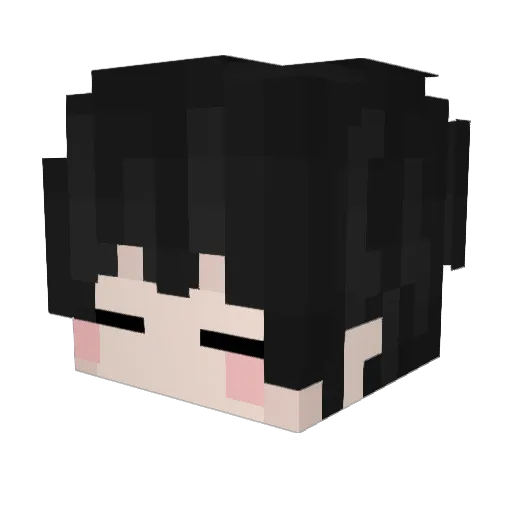Fexykid Minecraft avatar head, 3D render