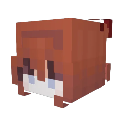 Fey325 Minecraft avatar head, 3D render