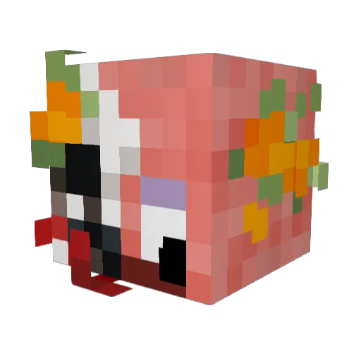 FeydRautha0 Minecraft avatar head, 3D render