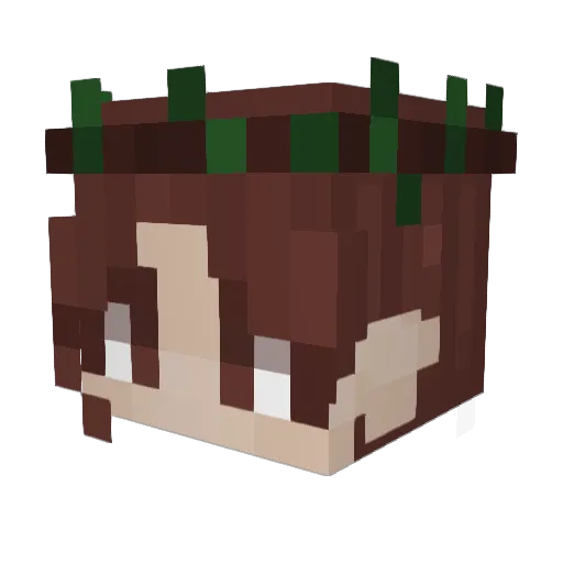 Feylynn97 Minecraft avatar head, 3D render